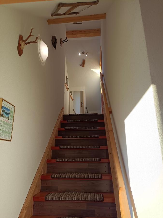 Ferienwohnung Stockenhuber Sankt Martin am Grimming Zewnętrze zdjęcie